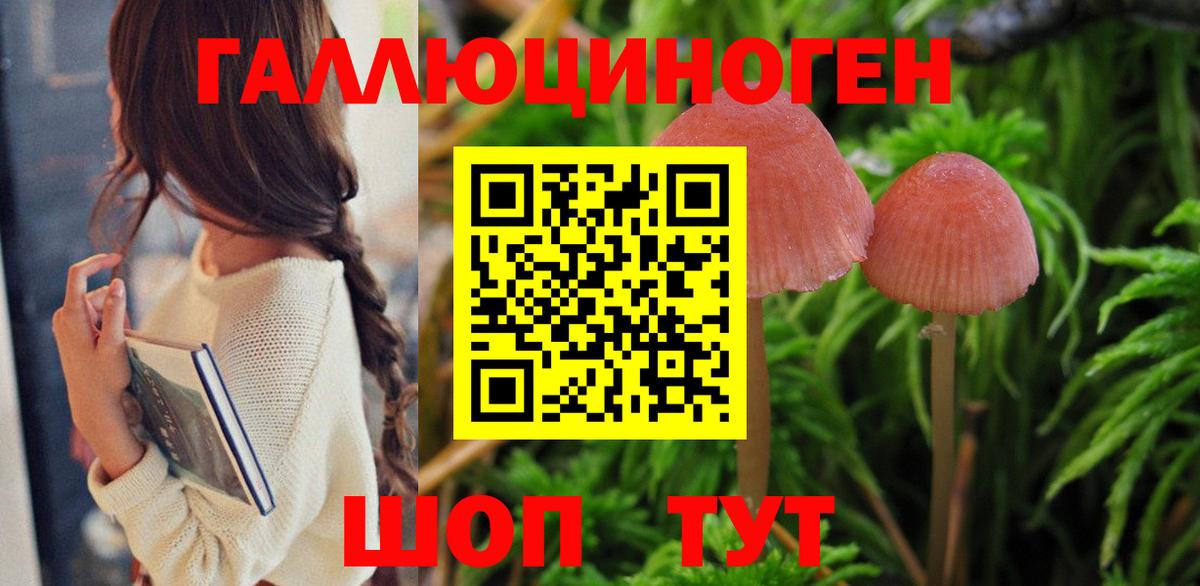 Моршанск  Псилоцибиновые грибы Psilocybe  Вход с VPN 